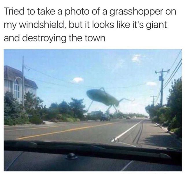 tried to take a photo of a grasshopper - Tried to take a photo of a grasshopper on my windshield, but it looks it's giant and destroying the town