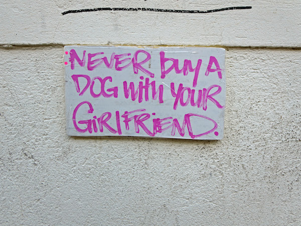 sign - Never by A Dog With Your Grifrend.