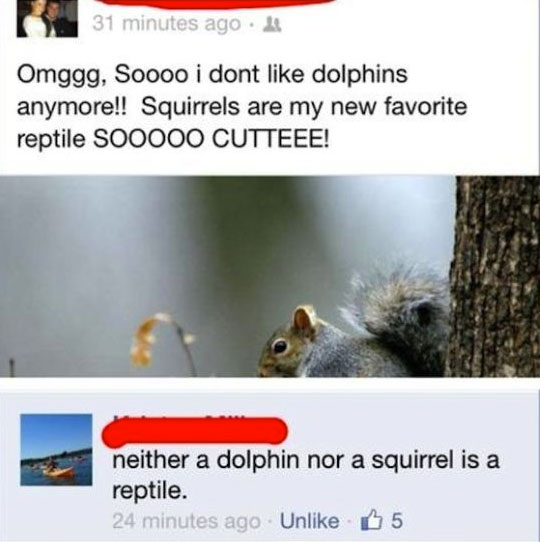 dumb people on social media - 31 minutes ago. Omggg, Soooo i dont dolphins anymore!! Squirrels are my new favorite reptile SOO000 Cutteee! neither a dolphin nor a squirrel is a reptile. 24 minutes ago Un 65