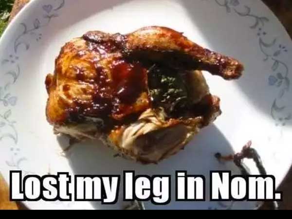 meme stream - lost my leg in nom - Lost my leg in Nom.
