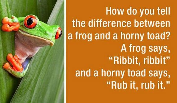 dad jokes - life science - How do you tell the difference between a frog and a horny toad? A frog says, "Ribbit, ribbit" and a horny toad says, "Rub it, rub it."