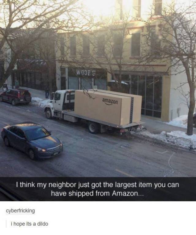 biggest amazon package - Woofs amazon I think my neighbor just got the largest item you can have shipped from Amazon.... cyberfricking i hope its a dildo
