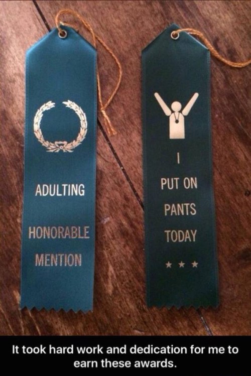 put on pants today award - On Adulting Put On Pants Today Honorable Mention It took hard work and dedication for me to earn these awards.