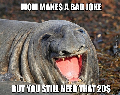 funny faces animals - Mom Makes A Bad Joke MemeCenter.com But You Still Need That 20$