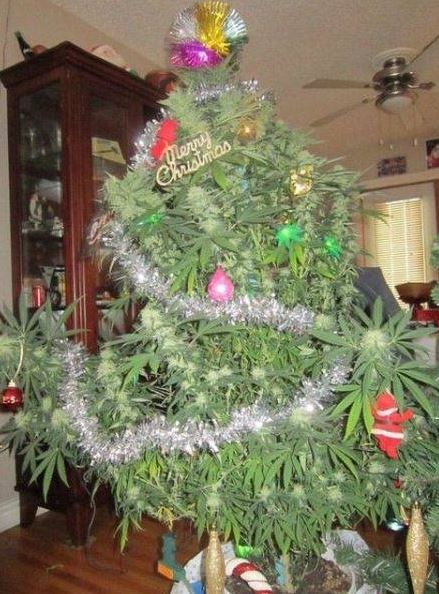 weed christmas tree - Lola ma