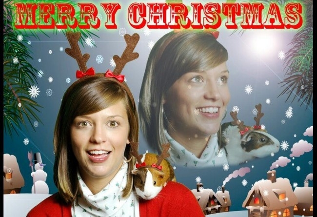 27 Painfully Awkward Christmas Cards From Single People