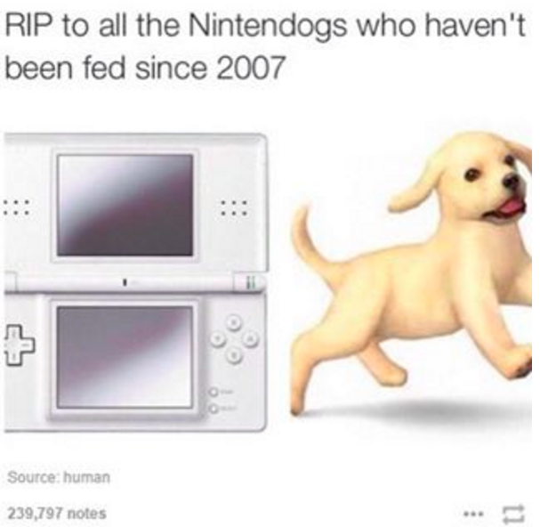 tumblr - rip nintendogs - Rip to all the Nintendogs who haven't been fed since 2007 Source human 239,797 notes