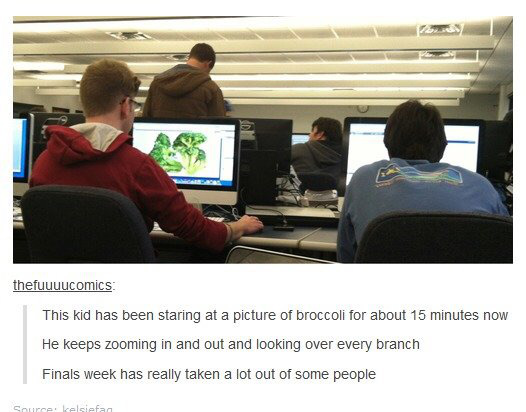 tumblr - kid has been staring - thefuuuucomics This kid has been staring at a picture of broccoli for about 15 minutes now He keeps zooming in and out and looking over every branch Finals week has really taken a lot out of some people Source kelsiefan