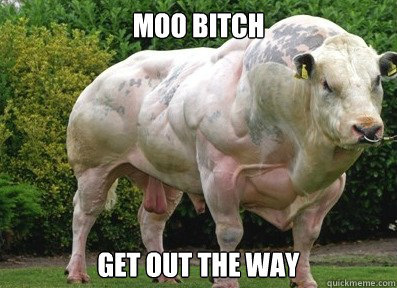 cow without myostatin - Moo Bitch Get Out The Way