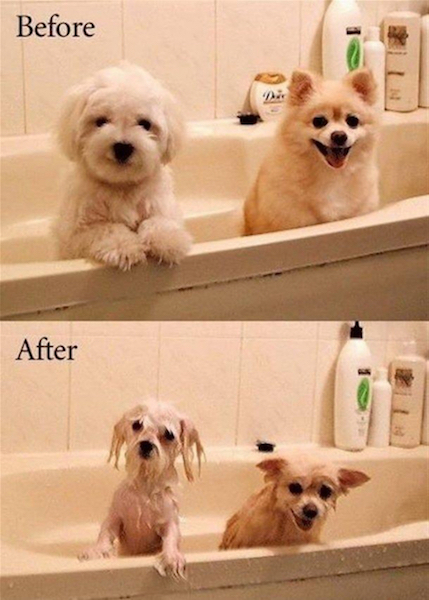 18 Best Before and After Shots Ever!