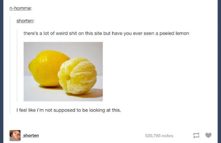lemon tumblr posts - nhomme shorten there's a lot of weird shit on this site but have you ever seen a peeled lemon I feel i'm not supposed to be looking at this. shorten 520,785 notes