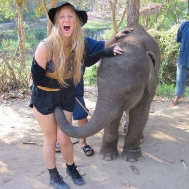funny picture of baby elephant smelling woman's crotch with his trunk