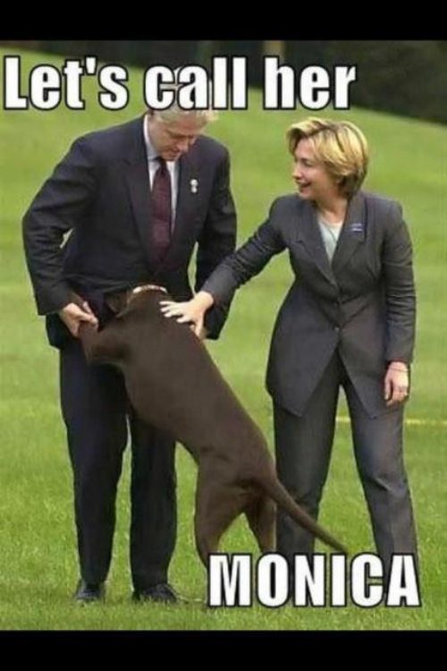 funny picture of dog jumping onto Bill Clinton and Hillary recommends to call her Monica