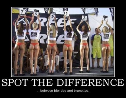 funny picture of blonde and brunettes posing with number and all the blonds are holding the signs upside down