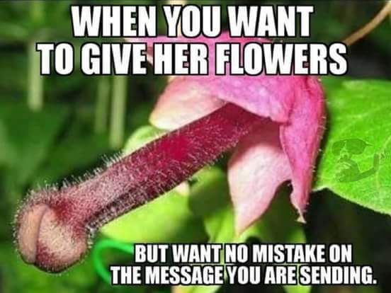 if trolling or just stupid - When You Want To Give Her Flowers But Want No Mistake On The Message You Are Sending.