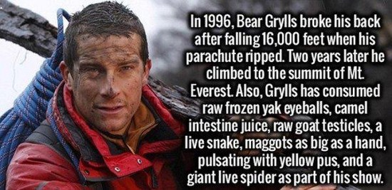 bear grylls survival - In 1996, Bear Grylls broke his back after falling 16,000 feet when his parachute ripped. Two years later he climbed to the summit of Mt. Everest. Also, Grylls has consumed raw frozen yak eyeballs, camel intestine juice, raw goat tes