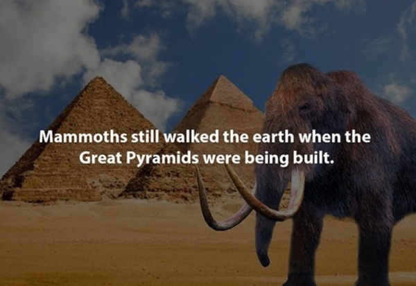 29 Facts About Our Lives That Will Change You Completely