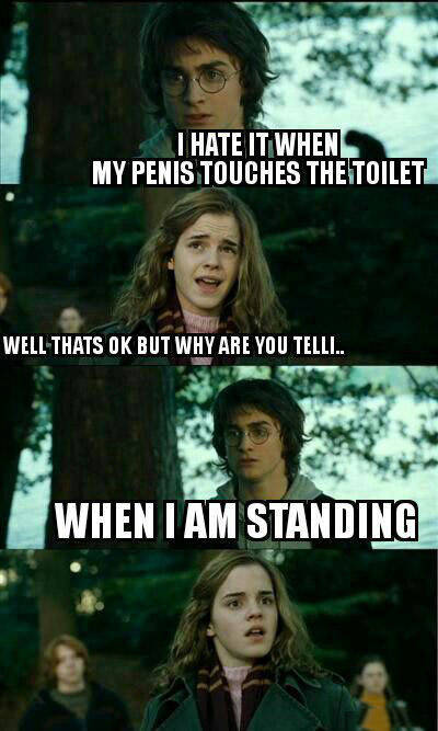 funny harry potter hermione meme - I Hate It When My Penis Touches The Toilet Well Thats Ok But Why Are You Tell. When I Am Standing