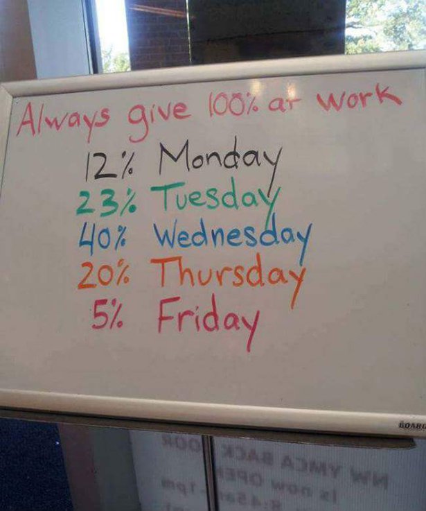 funny funny work whiteboard memes - Always give 100% at work 12% Monday 23% Tuesday 40% Wednesday 20% Thursday 5% Friday Borg