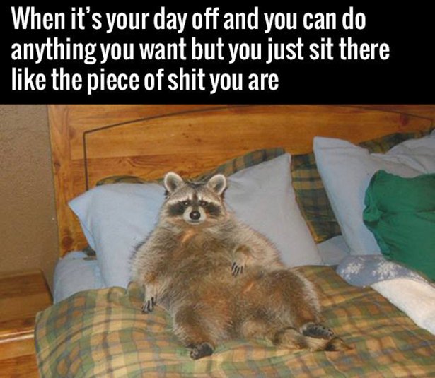 funny its your day off - When it's your day off and you can do anything you want but you just sit there the piece of shit you are