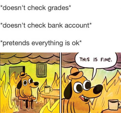 me pretending everything's ok - doesn't check grades doesn't check bank account pretends everything is ok This Is Fine.