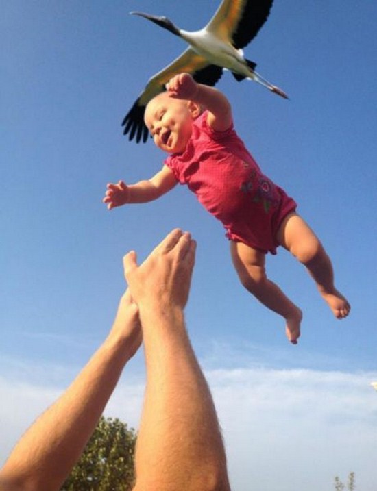 do storks deliver babies