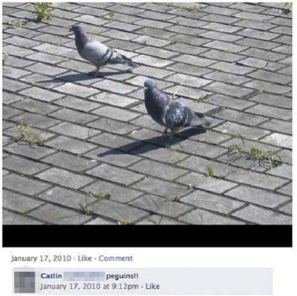 24 Funniest Facebook Fails!