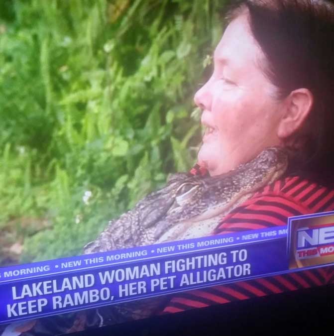 tree - This Mo Morning New This Morning New This Morning New This Mo Lakeland Woman Fighting To Keep Rambo, Her Pet Alligator