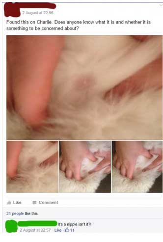 facebook fails xxx - 2 August at Found this on Charlie. Does anyone know what it is and whether it is something to be concerned about? Loke Comment 21 people this Its a nipple innt21 2 August at Lie 11