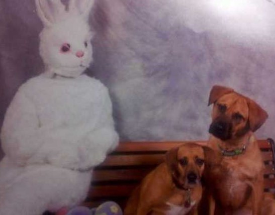 26 Awkward Family Easter Photos!