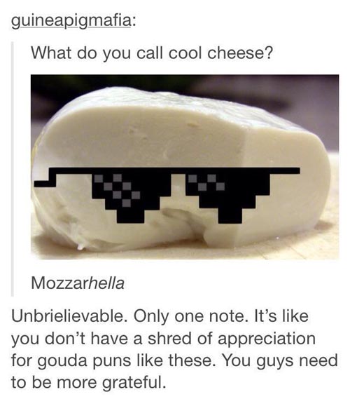 35 Tumblr Puns That Are So Bad They're Great