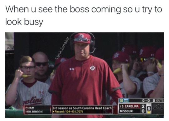 boss is coming look busy meme - When u see the boss coming so u try to look busy Tank Sinatra 00 O Outs Chad Holbrook 3rd season as South Carolina Head Coach Record 10443 707 Ss.Carolina Missouri