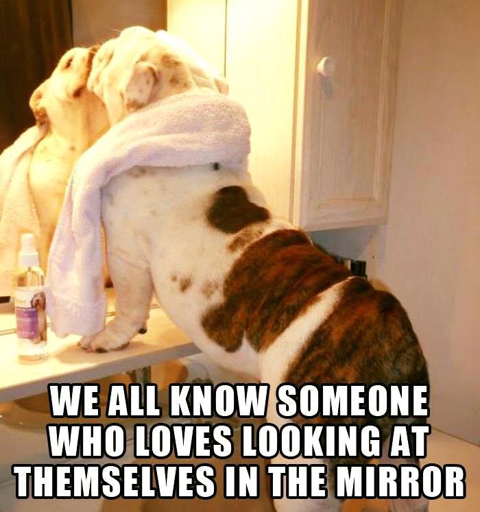 funny animals - We All Know Someone Who Loves Looking At Themselves In The Mirror