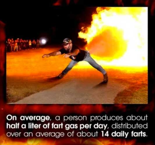 21 Interesting Fun Facts