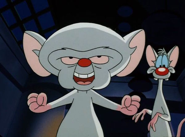 13. "Pinky and the Brain" (1995)​​