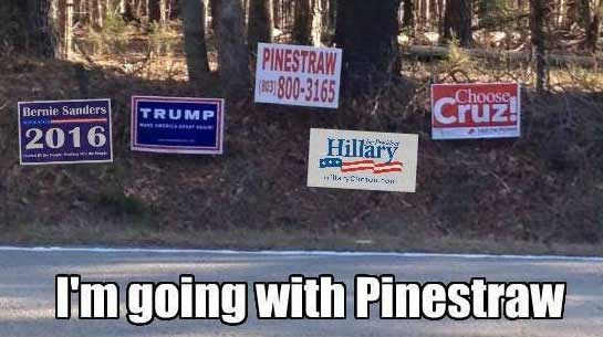 meme stream - vote for pine straw - Pinestraw 1802 8003165 Bernie Sanders Trump Choose Cruz. 2016 2016 Krump Hillary C Om I'm going with Pinestraw