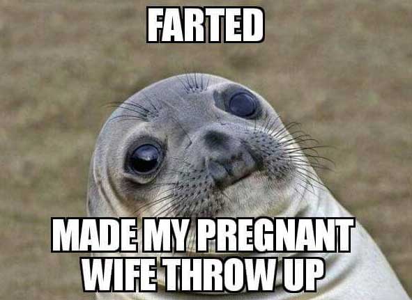 meme stream - fallout 3 meme - Farted Made My Pregnant Wife Throw Up