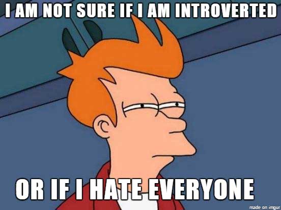 meme stream - see what you did there - I Am Not Sure If I Am Introverted Or If I HateEveryone made on imgur