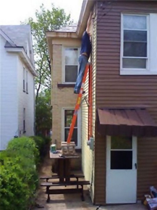 31 People that show you can't fix stupid