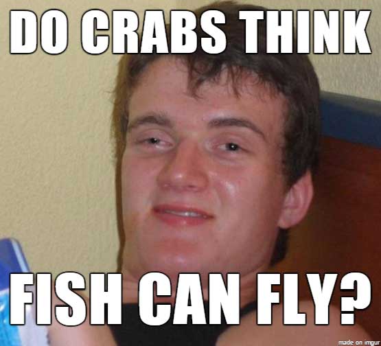 meme - have you been smoking - Do Crabs Think Fish Can Fly? made on imgur