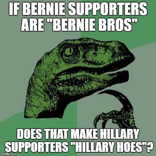 meme - memes on environment - If Bernie Supporters Are "Bernie Bros" Does That Make Hillary Supporters "Hillary Hoes". imgflip.com