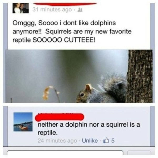 stupidest people on facebook - 31 minutes ago. Omggg, Soooo i dont dolphins anymore!! Squirrels are my new favorite reptile SOO000 Cutteee! neither a dolphin nor a squirrel is a reptile. 24 minutes ago Un 65