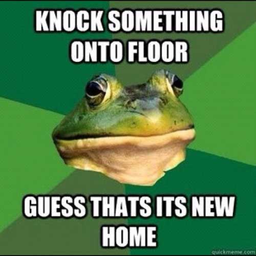 monday memes - wiping cock on curtains - Knock Something Onto Floor Guess Thats Its New Home quickmerse.com