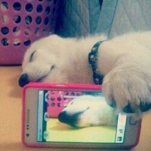 28 The Best-Ever Bae Caught Me Sleeping Photos!