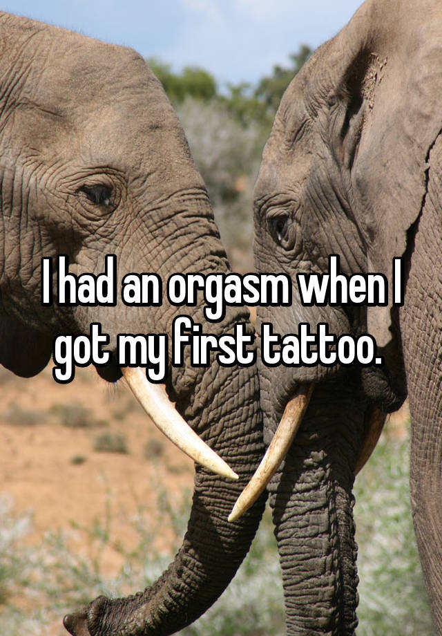 addo elephant park - Thad an orgasm when I got my first tattoo