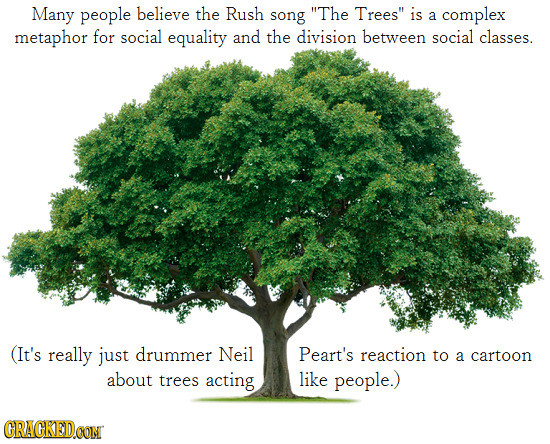 one trees - Many people believe the Rush song "The Trees" is a complex metaphor for social equality and the division between social classes. It's really just drummer Neil about trees acting Peart's reaction to a cartoon people. Cracked.Com