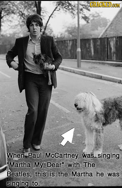 paul mccartney dog - Cracked.Com When Paul McCartney was singing Martha My Dear" with The Beatles, this is the Martha he was singing to.