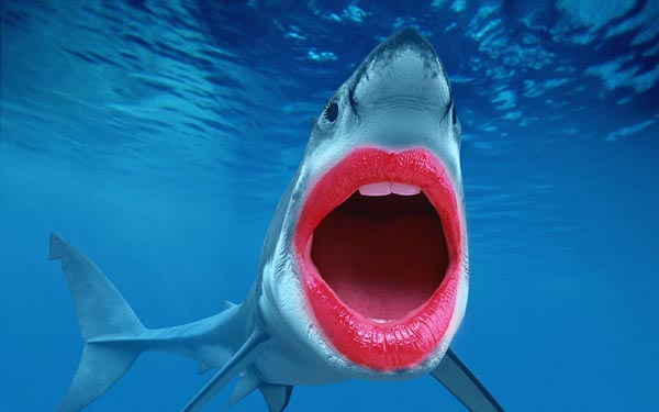 Sharks With Human Teeth Are Far Less Scary!