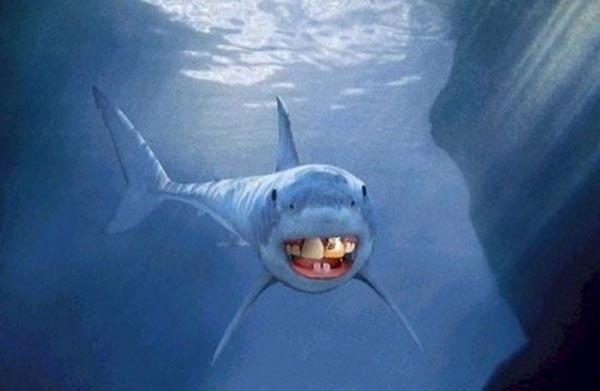 Sharks With Human Teeth Are Far Less Scary!