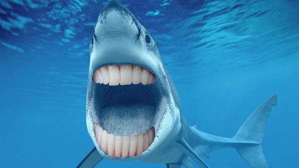 Sharks With Human Teeth Are Far Less Scary!